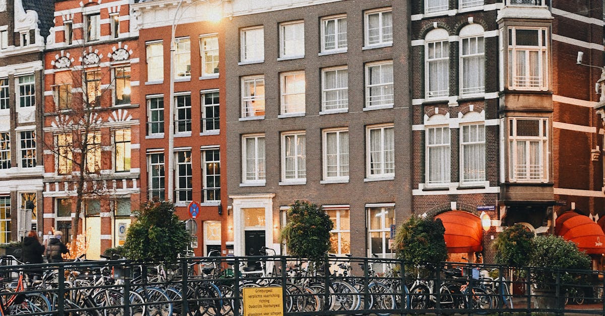 Advanced Vocabulary Techniques for Fluent Dutch Communication