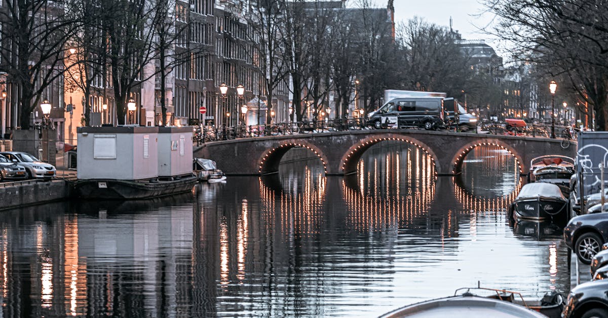 Assessing Your Progress in Self-Paced Dutch Language Studies