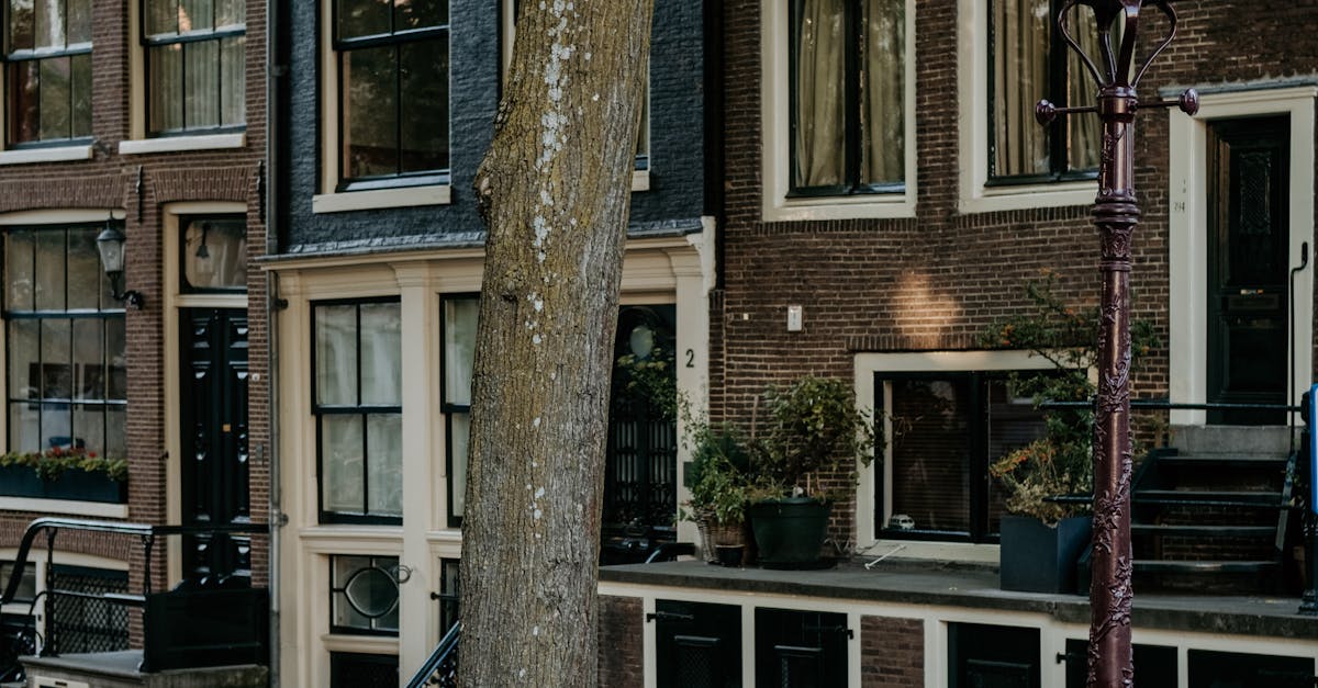 Community Features in Dutch Language Apps: Connecting with Peers