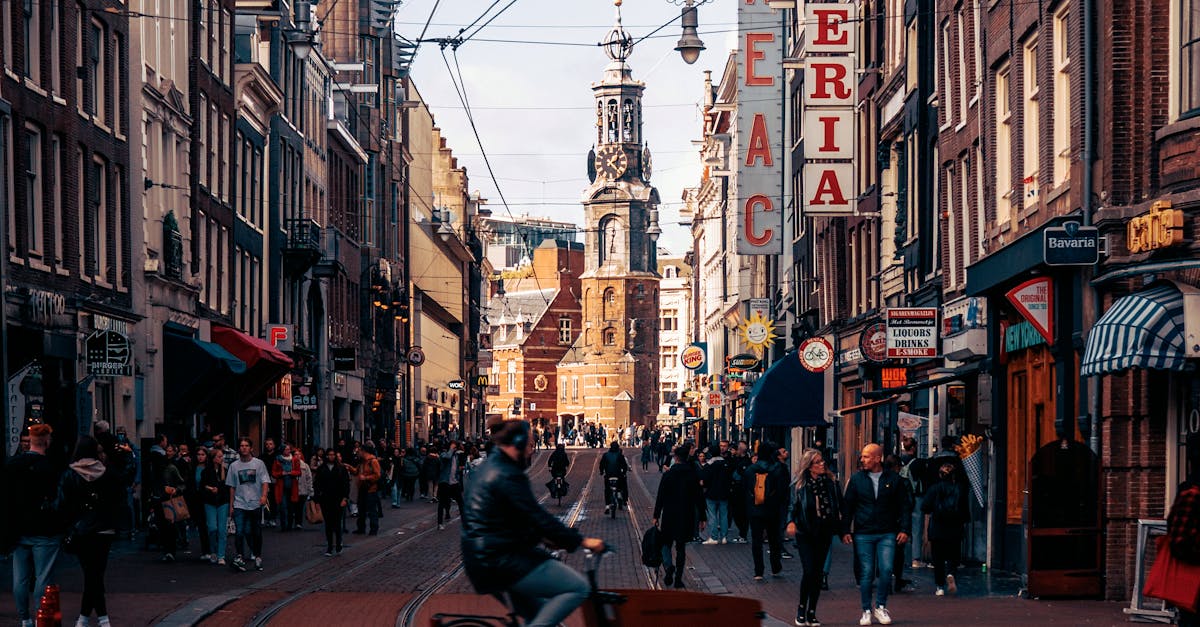 Comparative Analysis of Dutch Language Apps for Intermediate Learners