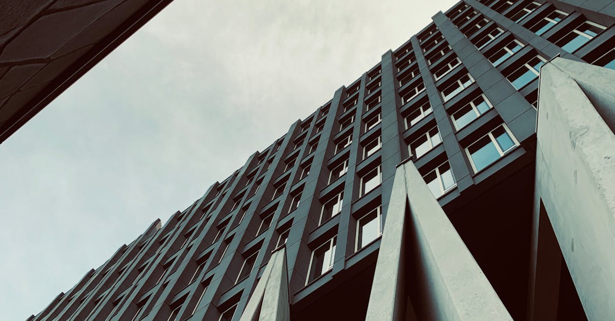 Comparing Zoom and Skype for Online Dutch Lessons