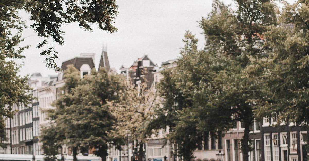 Engaging in Dutch Language Discussions Online: Best Platforms