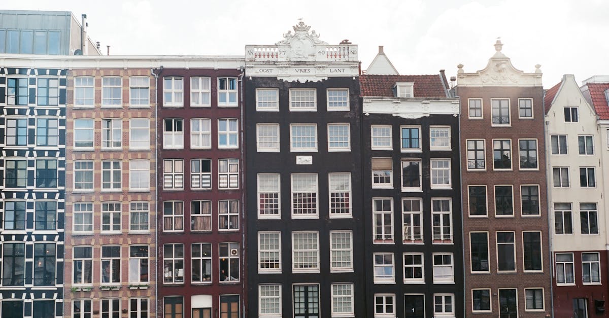 Engaging Live Group Classes: A Path to Fluent Dutch