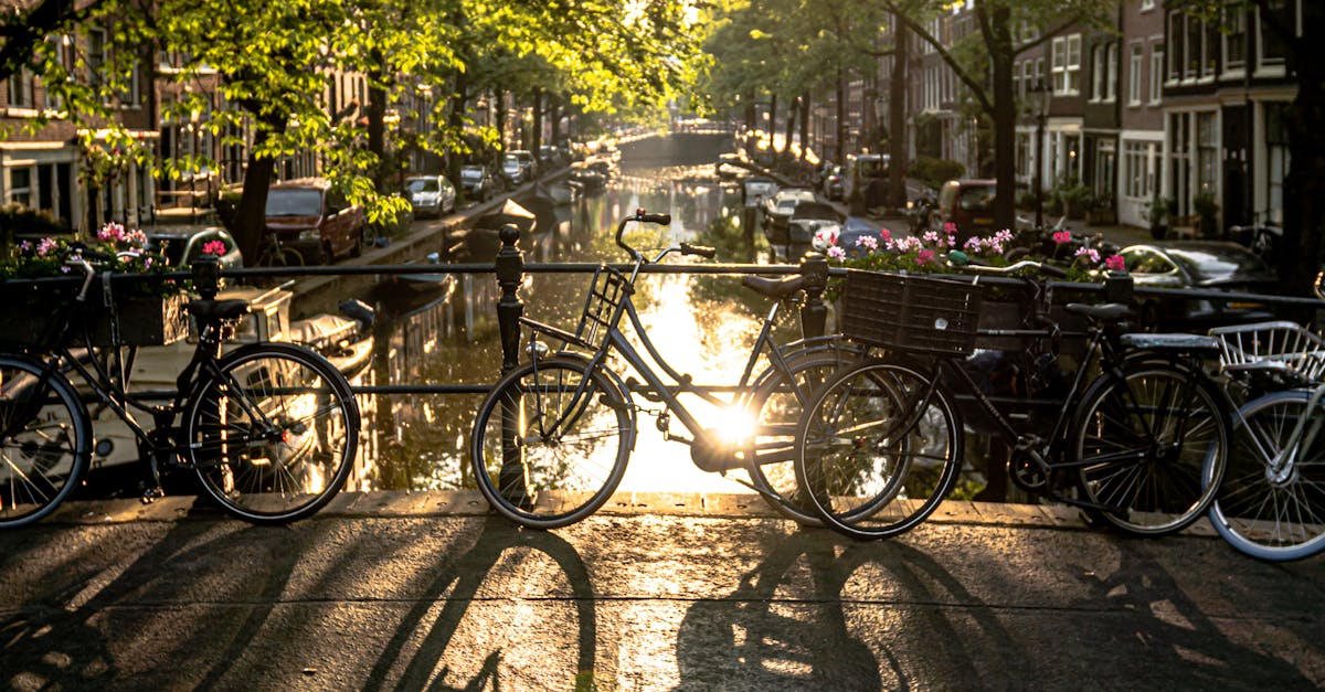 Enhancing Pronunciation and Intonation in Advanced Dutch