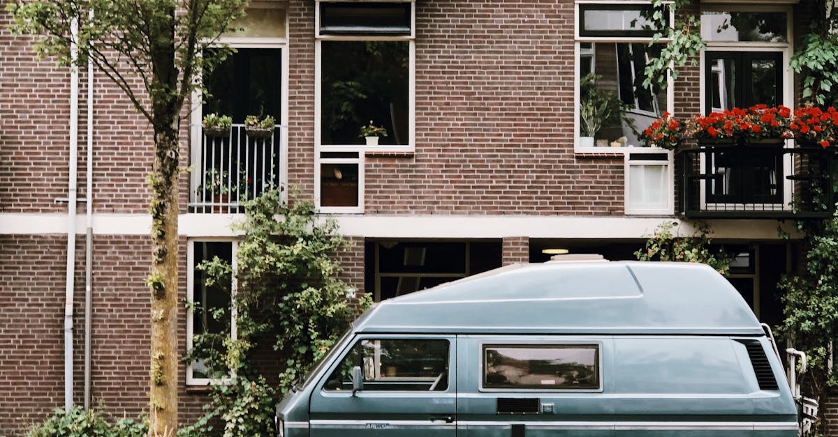 Essential Resources for Intermediate Dutch Language Learners