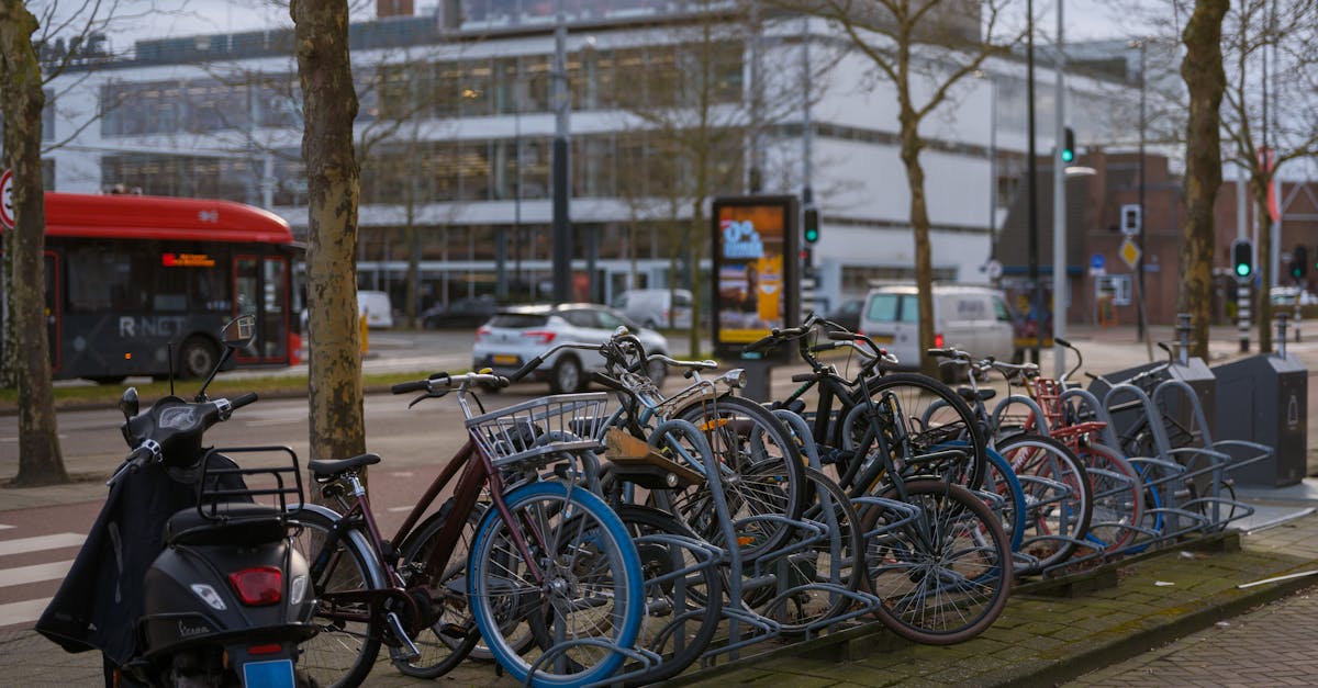 Exploring the Best Interactive Platforms for Learning Dutch Online