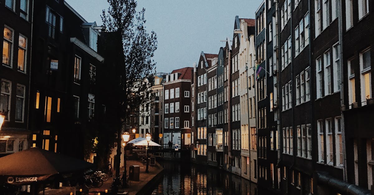 Festivals and Traditions: Immersing in Dutch Culture for Language Mastery