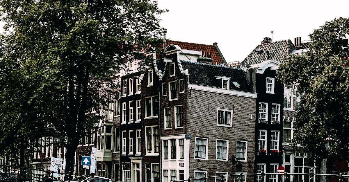 Finding Community in Live Dutch Classes: An Essential Element