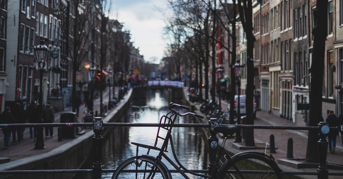 Finding the Right Dutch Language Immersion Workshop for Your Needs