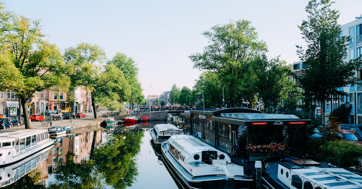 Fun and Interactive Methods in Teaching Beginner Dutch