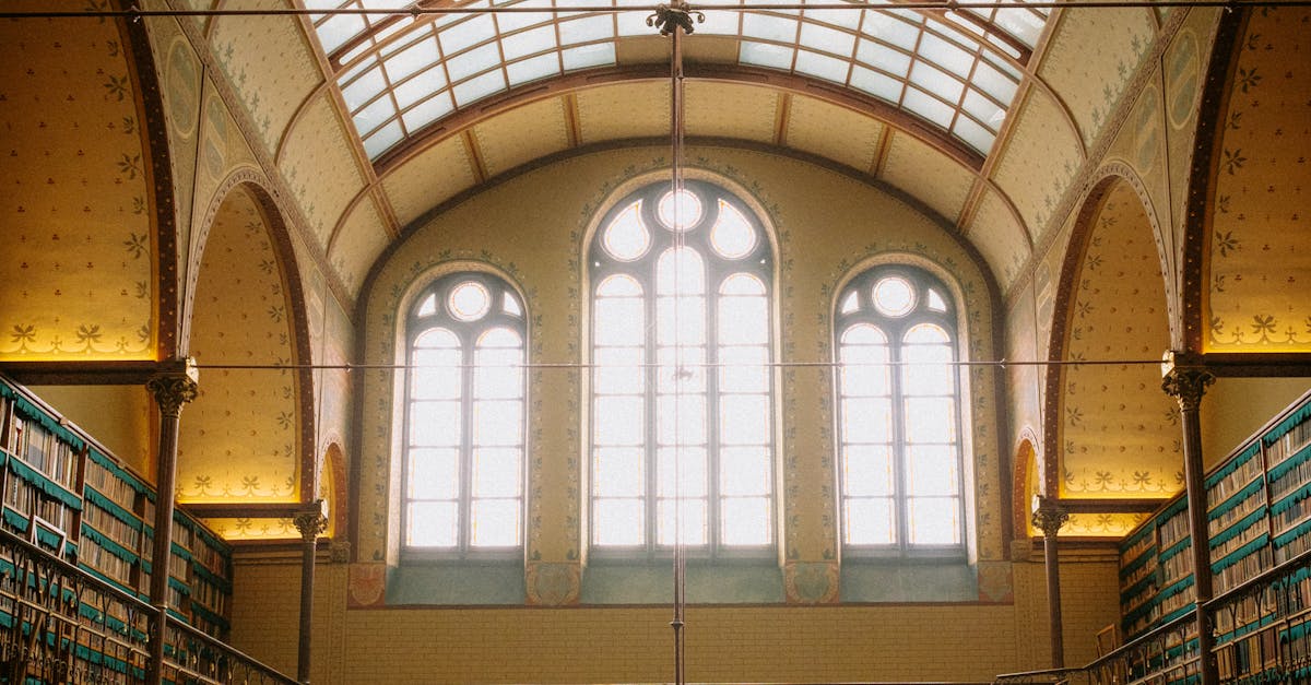 How to Choose the Right Live Group Class for Dutch Learning