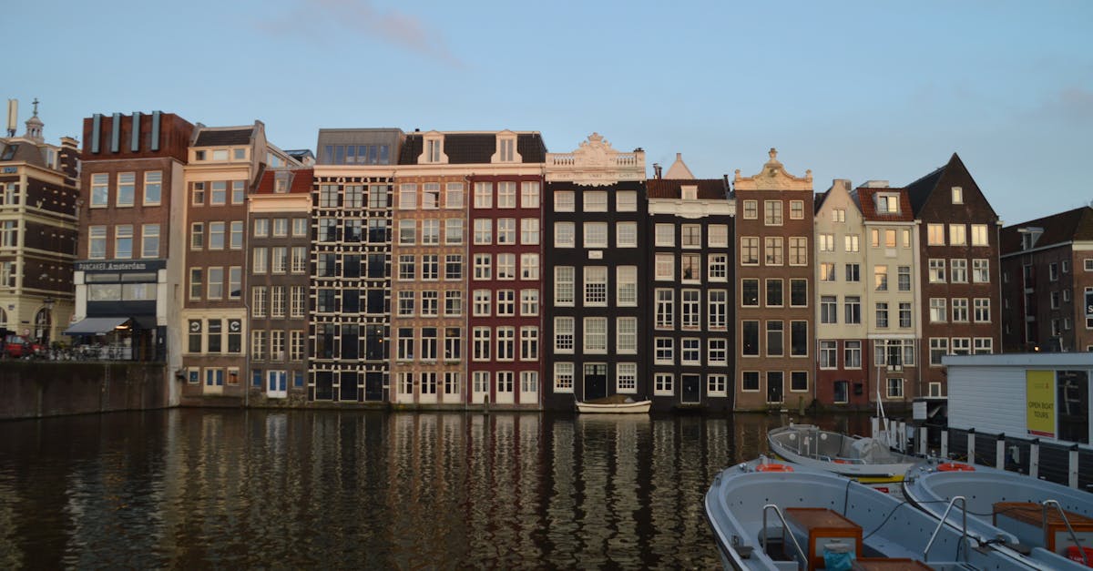 Live Group Classes vs. Individual Tutoring: What’s Best for You?