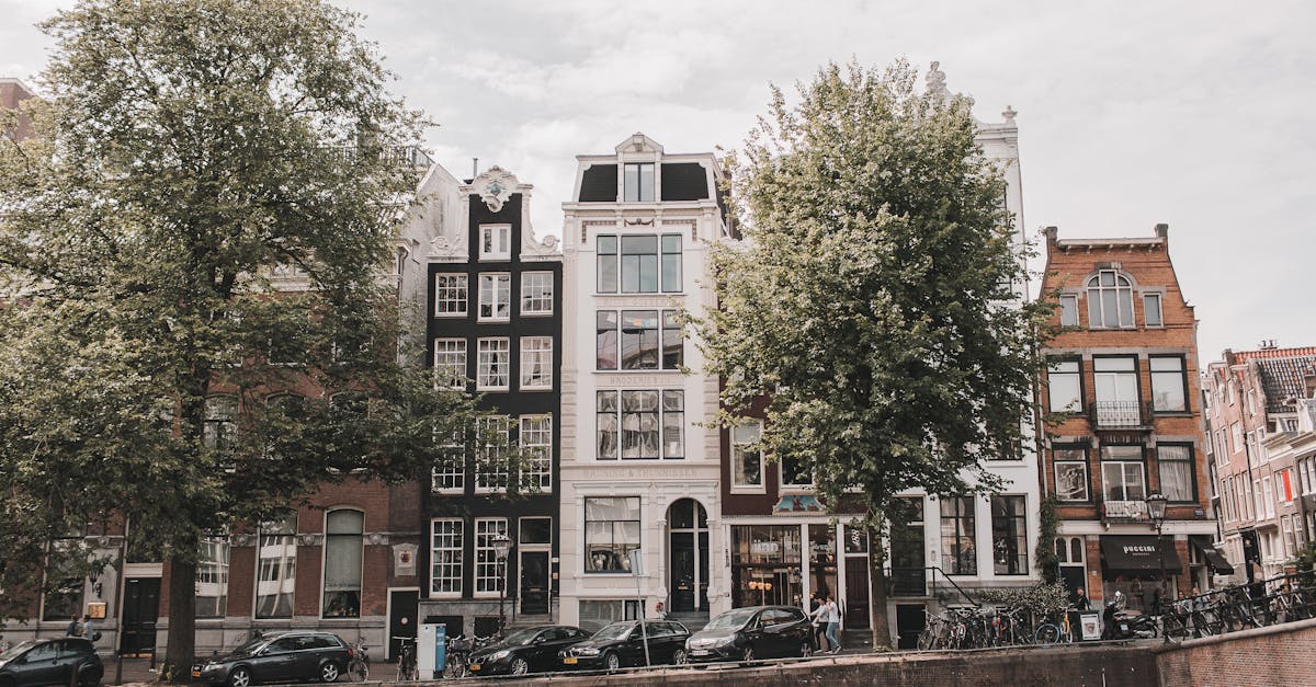 Mastering Dutch Nuances for Advanced Learners in Amsterdam
