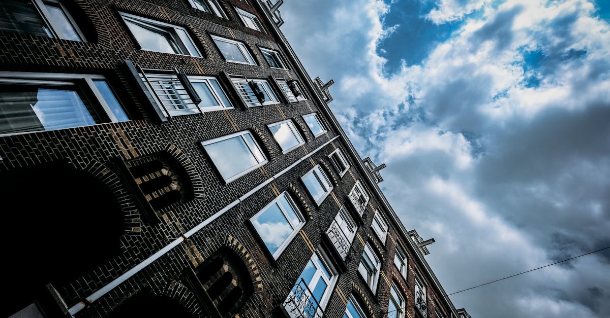 Navigating Your First Dutch Class: What to Expect as a Beginner