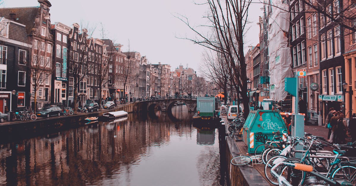 Personalized Learning Paths in Self-Paced Dutch Language Programs