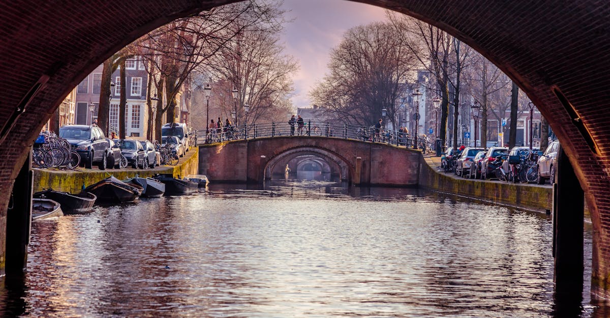 Scheduling and Flexibility in Online Live Dutch Courses