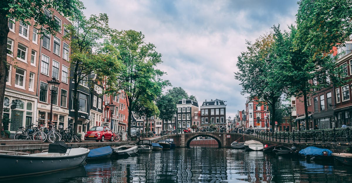 The Benefits of Using Language Software for Dutch Learning