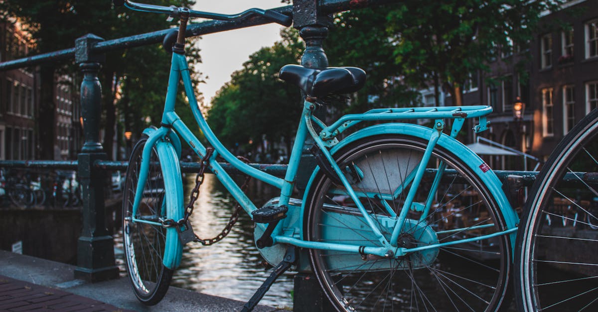 The Best Dutch Learning Apps to Supplement Your Classroom Experience