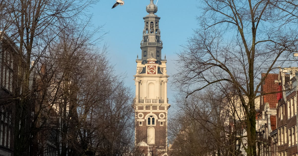 The Best Online Platforms for Live Dutch Language Classes