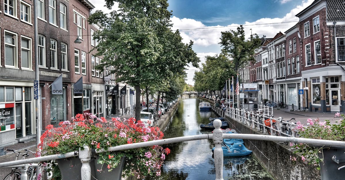 The Impact of Architecture on Dutch Language Learning