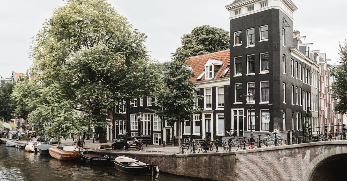 The Role of Cultural Context in Intermediate Dutch Education