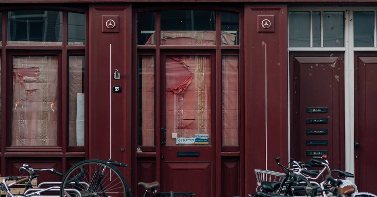 The Role of Dutch Cinema in Language Acquisition