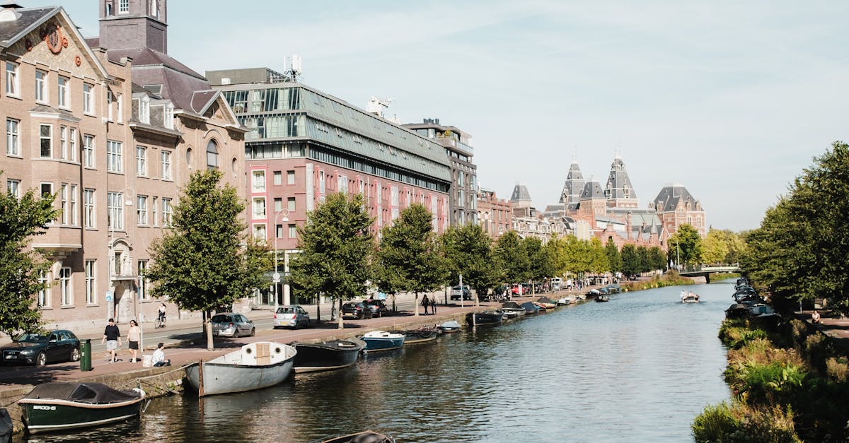 Top Online Dutch Forums to Enhance Your Language Skills