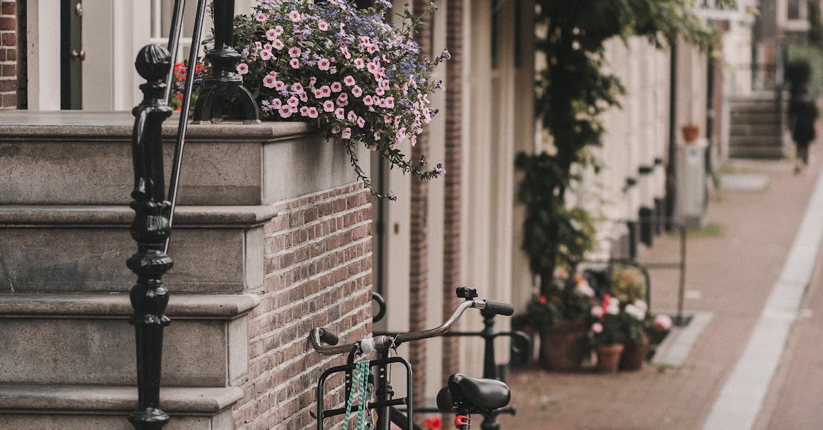 Top Online Platforms Offering Self-Paced Dutch Language Learning