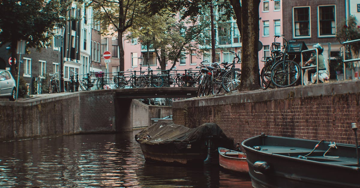 User-Friendly Apps for Practicing Dutch Grammar